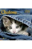 Calendrier chatons 2025