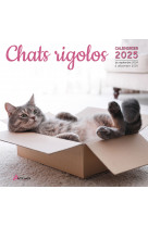 Calendrier chats rigolos 2025