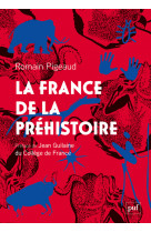 La france de la préhistoire