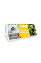 Calendrier semainier 2025 oiseaux fascinants