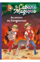 La cabane magique, tome 19