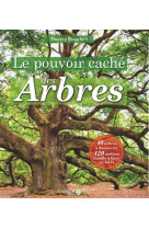 Le pouvoir caché des arbres