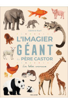 L'imagier géant du père castor