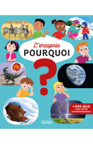 L'imagerie - pourquoi ?