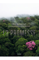 La promesse