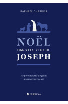 Noël dans les yeux de joseph