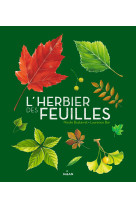 L'herbier des feuilles