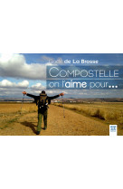 Compostelle on l'aime pour...