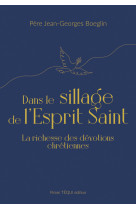 Dans le sillage de l'esprit saint