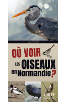 Où voir les oiseaux en normandie