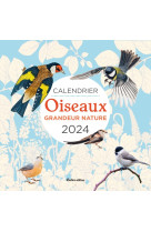 Calendrier mural oiseaux grandeur nature 2024