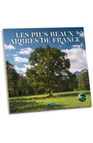 Calendrier des plus beaux arbres de france 2024