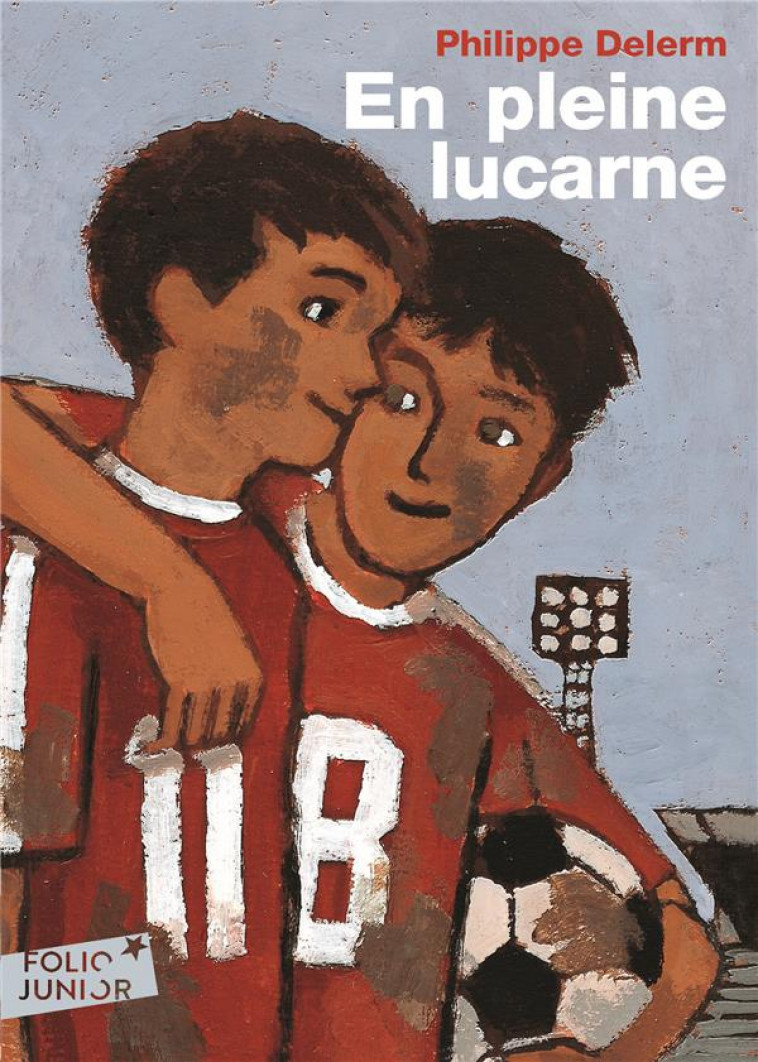 EN PLEINE LUCARNE - DELERM PHILIPPE - GALLIMARD