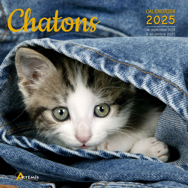 Calendrier Chatons 2025 - Collectif  - ARTEMIS