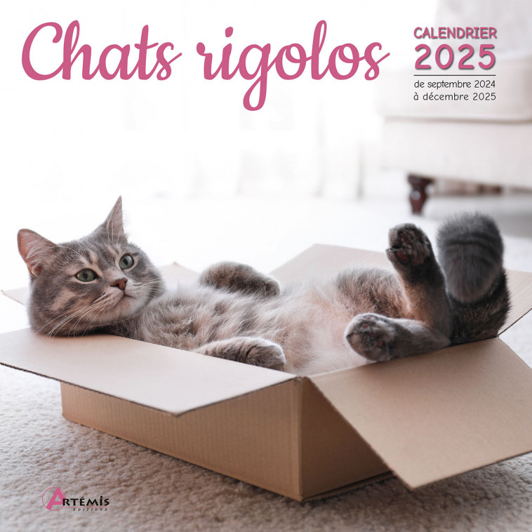 CALENDRIER CHATS RIGOLOS 2025 - Collectif  - ARTEMIS