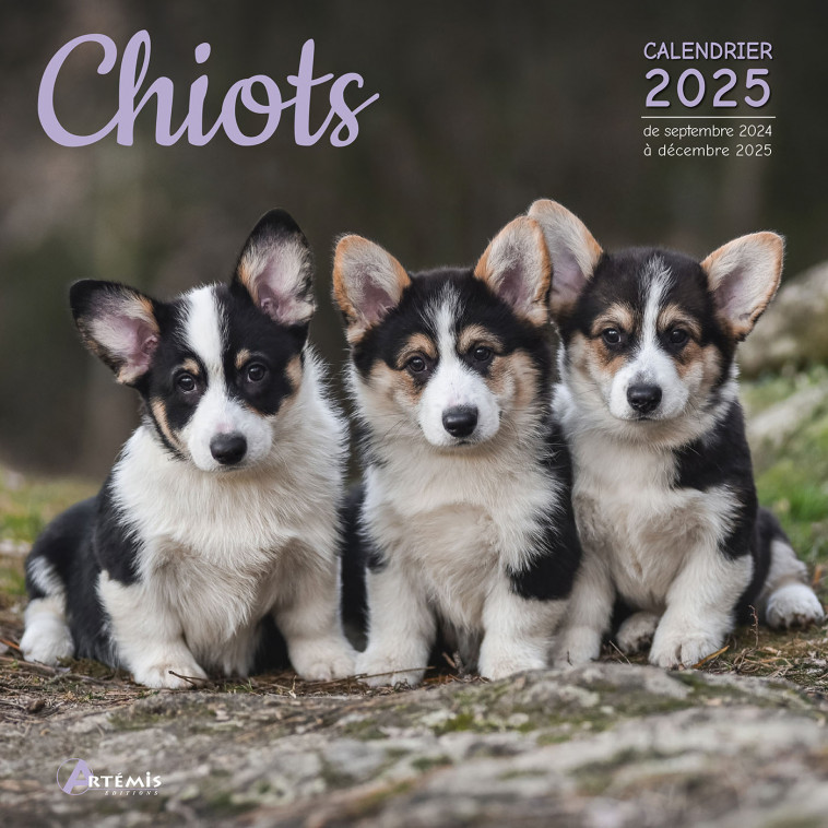 CALENDRIER CHIOTS 2025 - Collectif  - ARTEMIS