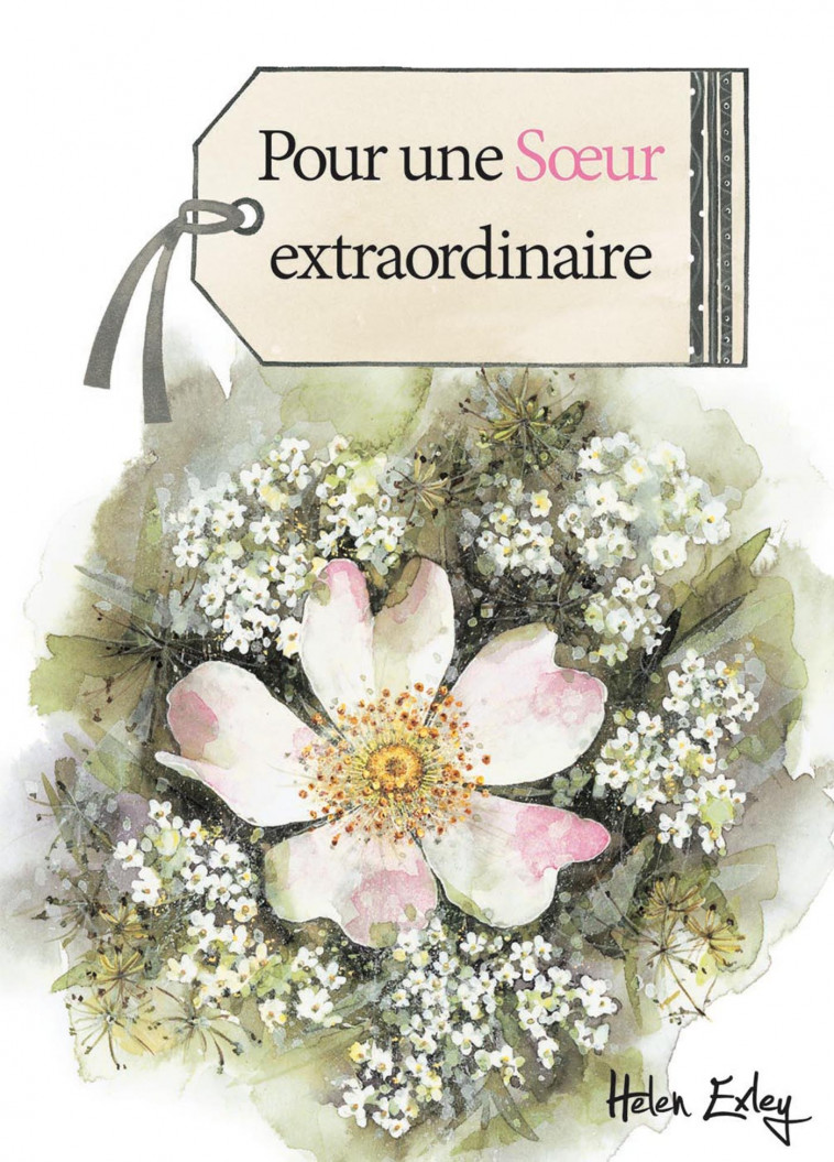 POUR UNE SOEUR EXTRAORDINAIRE -  EXLEY - EXLEY