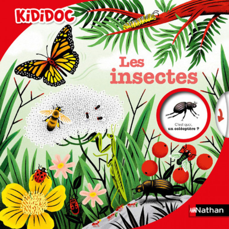 Les Insectes - Muriel Zürcher, Sylvie Bessard, Stéphane Hurtez - NATHAN