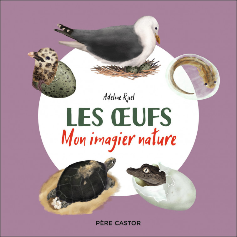 Les oeufs - Adeline Ruel - PERE CASTOR