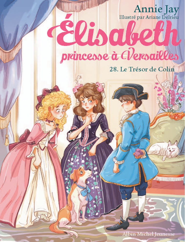 Elisabeth T28 Le Trésor de Colin - Annie Jay, Ariane Delrieu - ALBIN MICHEL