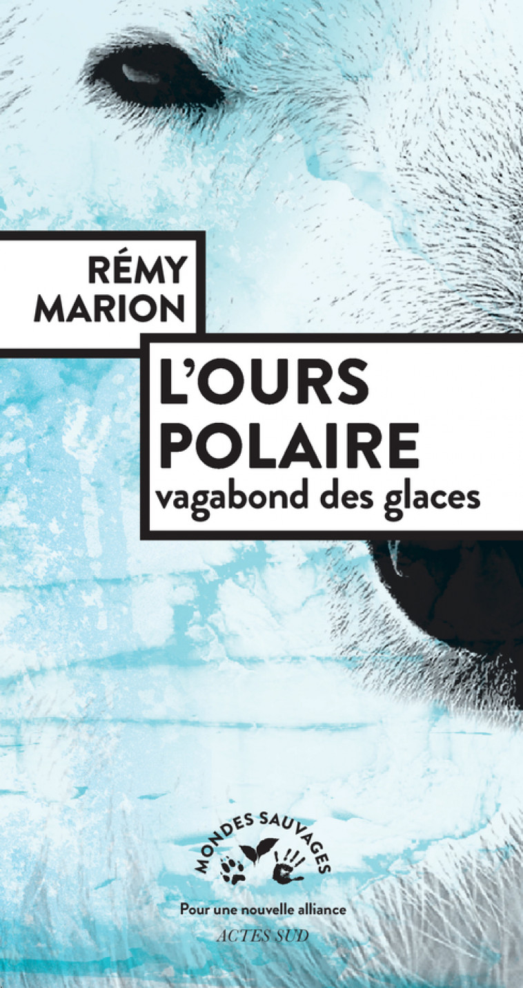 L'ours polaire, vagabond des glaces - Rémy Marion, Rick Bass, Rémy Marion - ACTES SUD