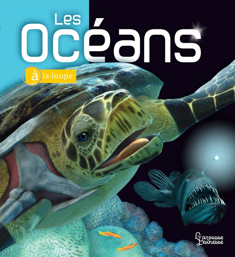 LES OCÉANS - Beverly McMillan - LAROUSSE