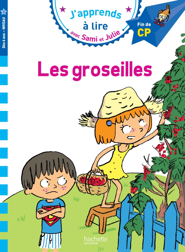 Sami et Julie CP Niveau 3 Les Groseilles - Thérèse Bonté - HACHETTE EDUC