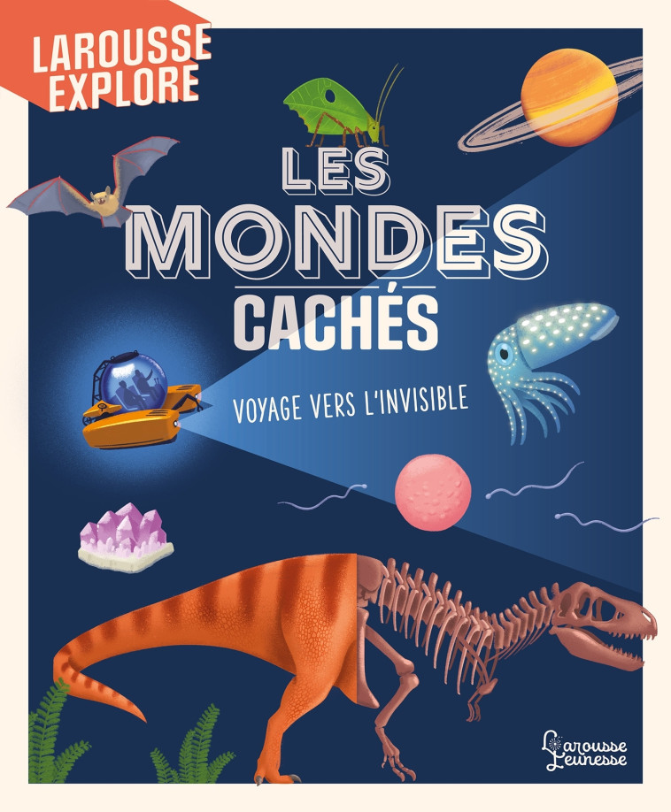 Les mondes cachés - Jess Mc Geachin - LAROUSSE