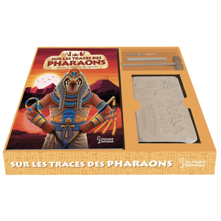 Sur les traces des pharaons - Dimitri Casali - LAROUSSE