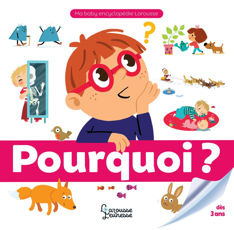 Pourquoi ? - Anne Royer - LAROUSSE