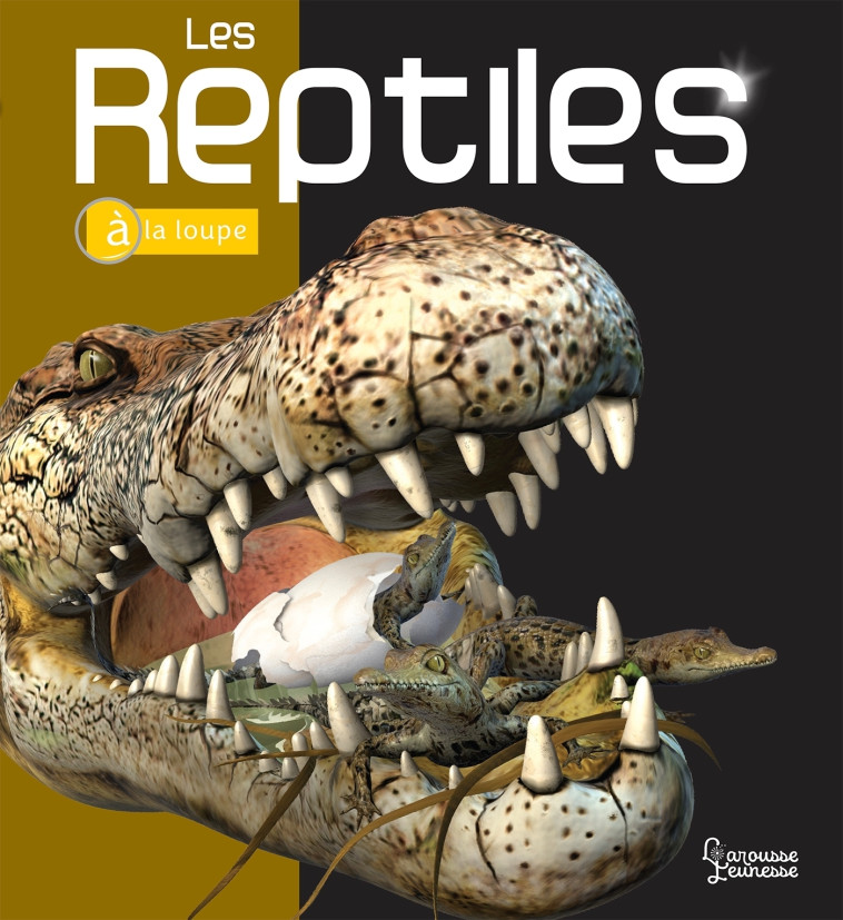 Les Reptiles - Mark Hutchinson - LAROUSSE