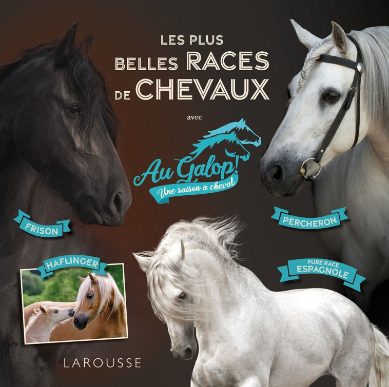 Au galop - Les plus belles races de chevaux - Béatrix Lot - LAROUSSE