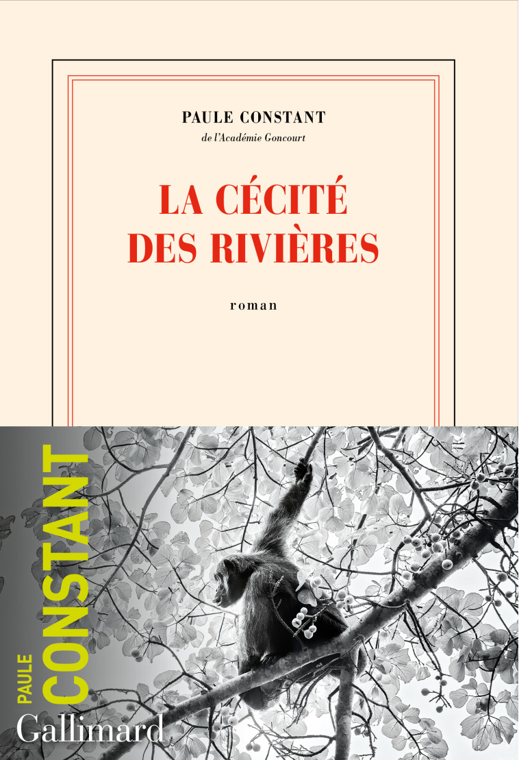 La cécité des rivières - Paule Constant - GALLIMARD