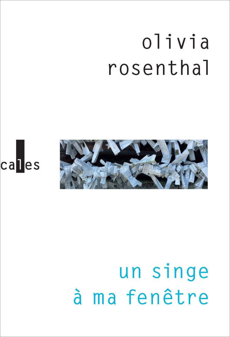 Un singe à ma fenêtre - Olivia Rosenthal - VERTICALES