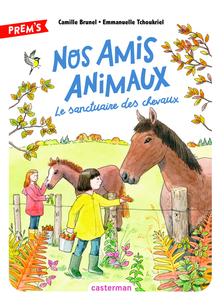 Nos amis animaux - Camille Brunel - CASTERMAN