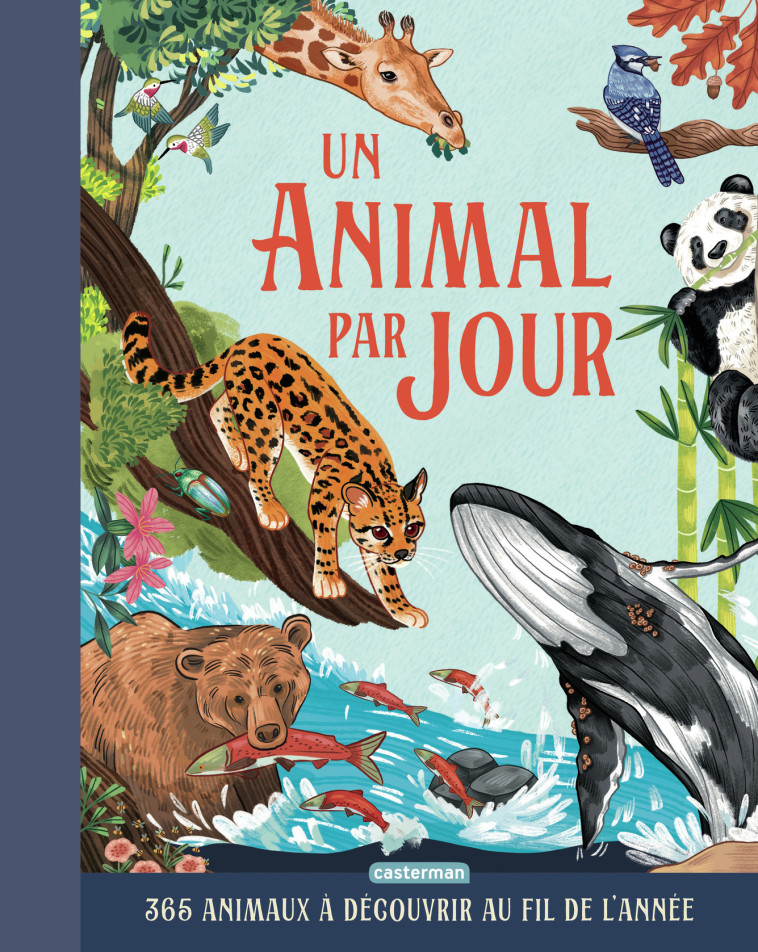 Un animal par jour -  Collectif - CASTERMAN