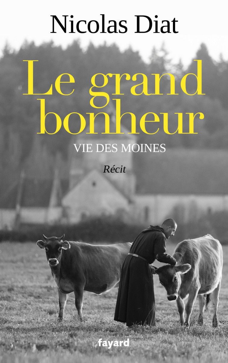 Le grand bonheur - Nicolas Diat - FAYARD