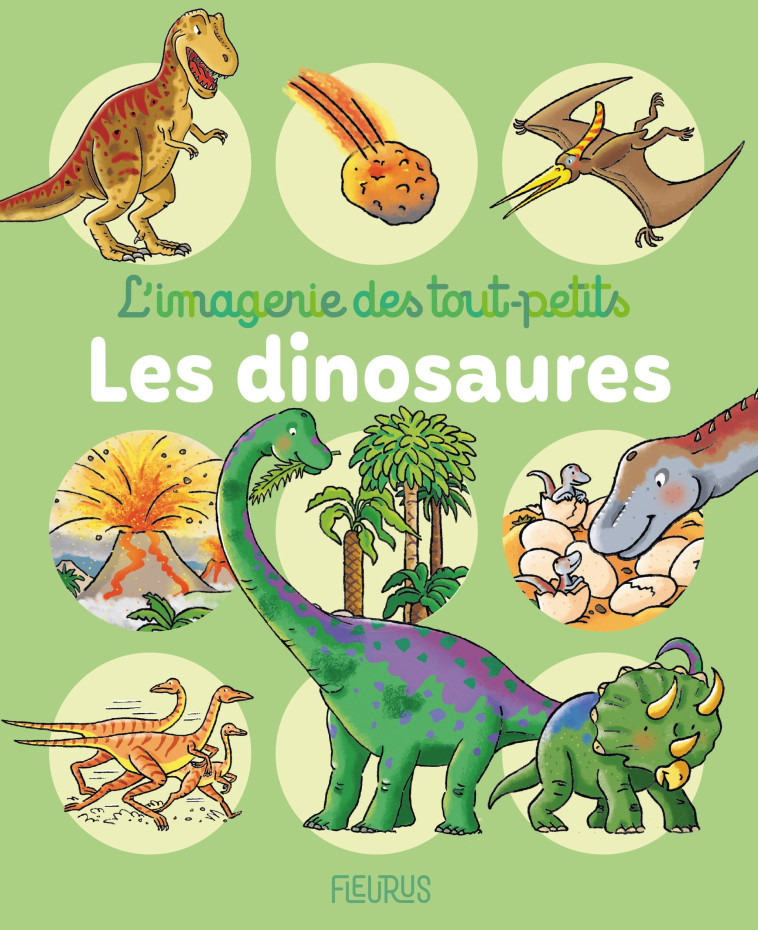 Les dinosaures - Emilie Beaumont - FLEURUS