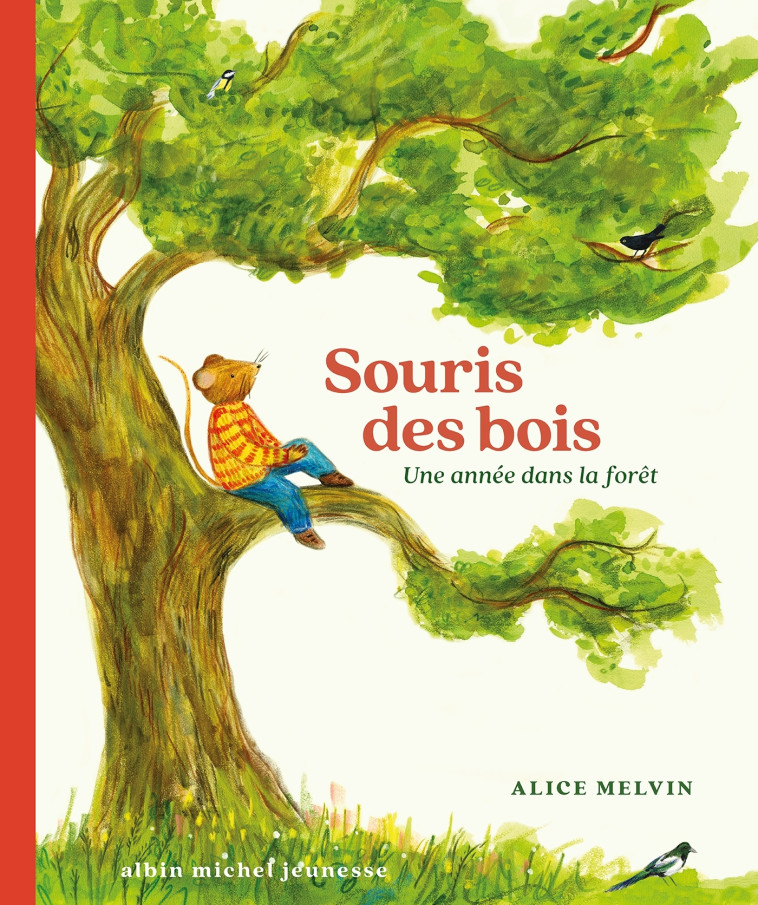 Souris des bois - Une année dans la forêt - Alice MELVIN - ALBIN MICHEL