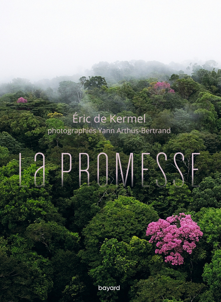 La promesse - Eric De Kermel - BAYARD ADULTE