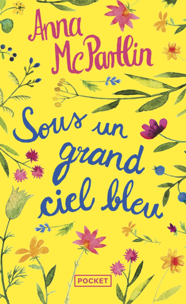 Sous un grand ciel bleu - Anna McPartlin - POCKET