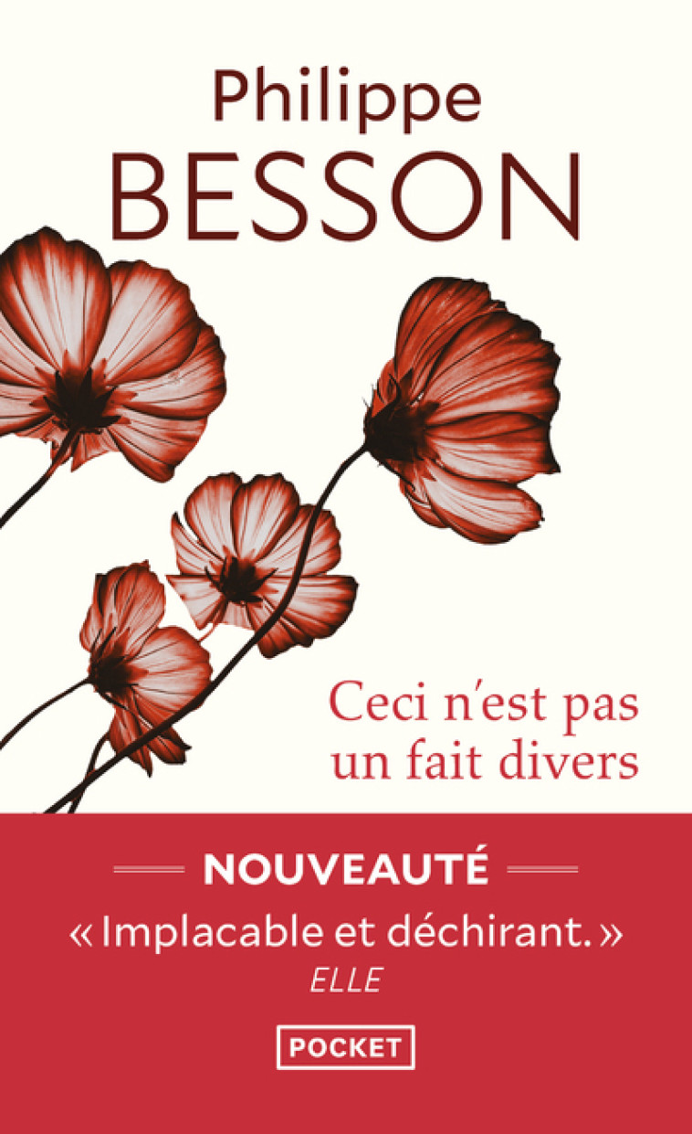 Ceci n'est pas un fait divers - Philippe Besson - POCKET