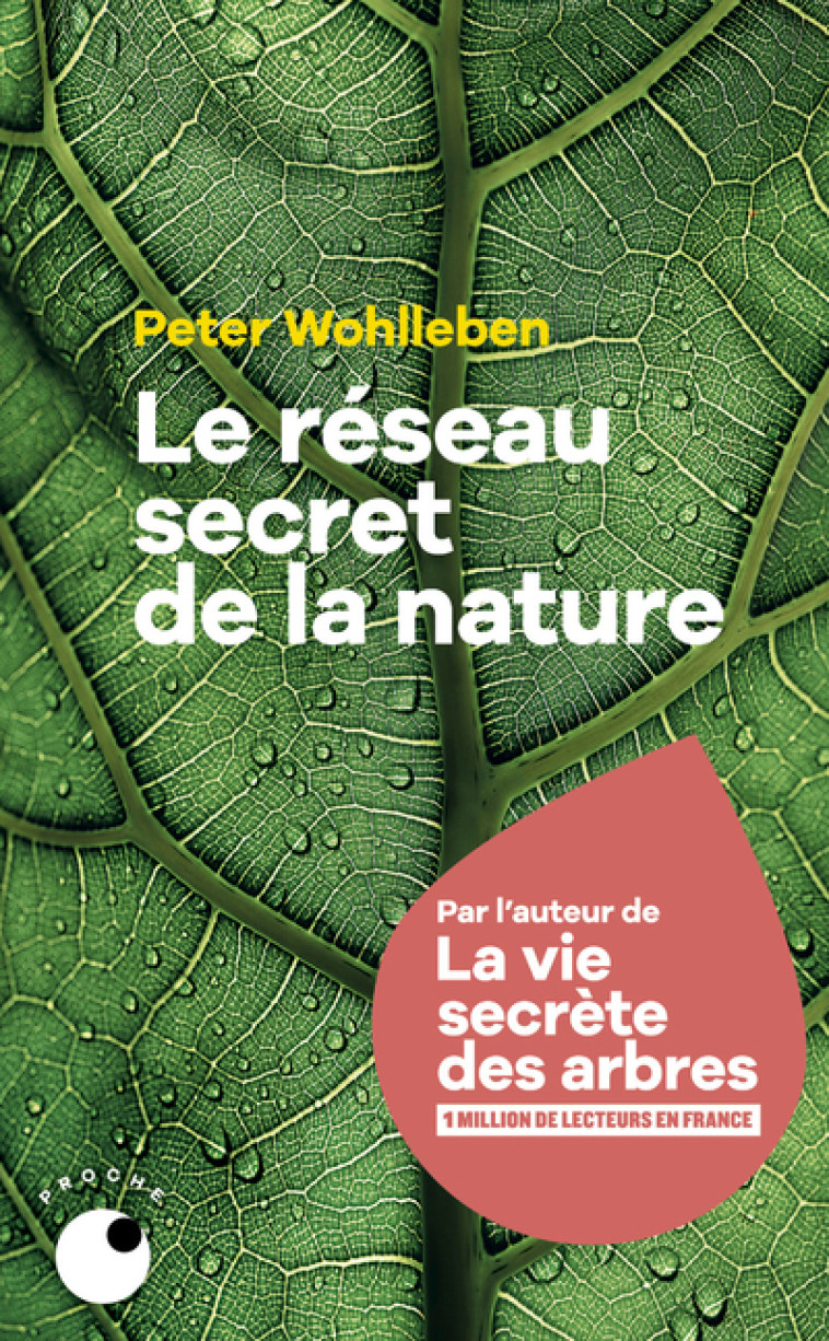 Le Réseau secret de la nature - Peter Wohlleben - COLL PROCHE