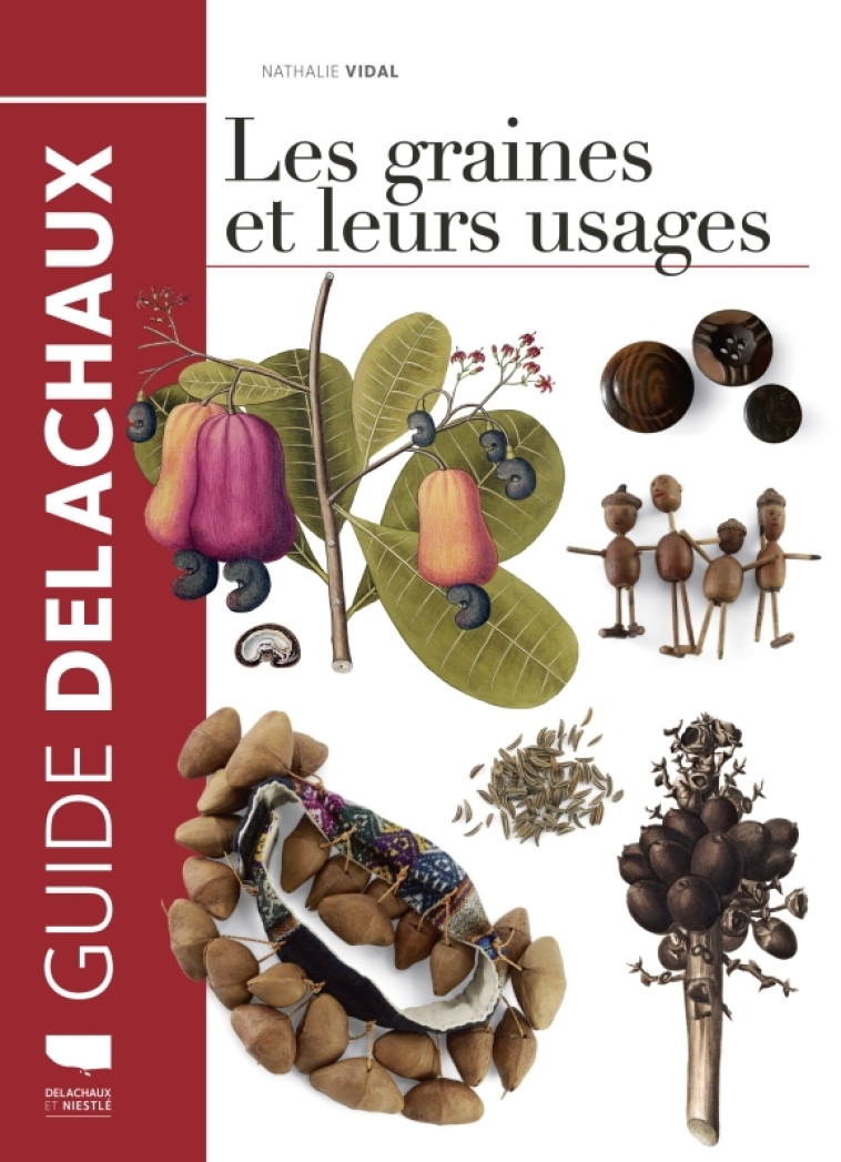 Les Graines et leurs usages - Nathalie Vidal - DELACHAUX