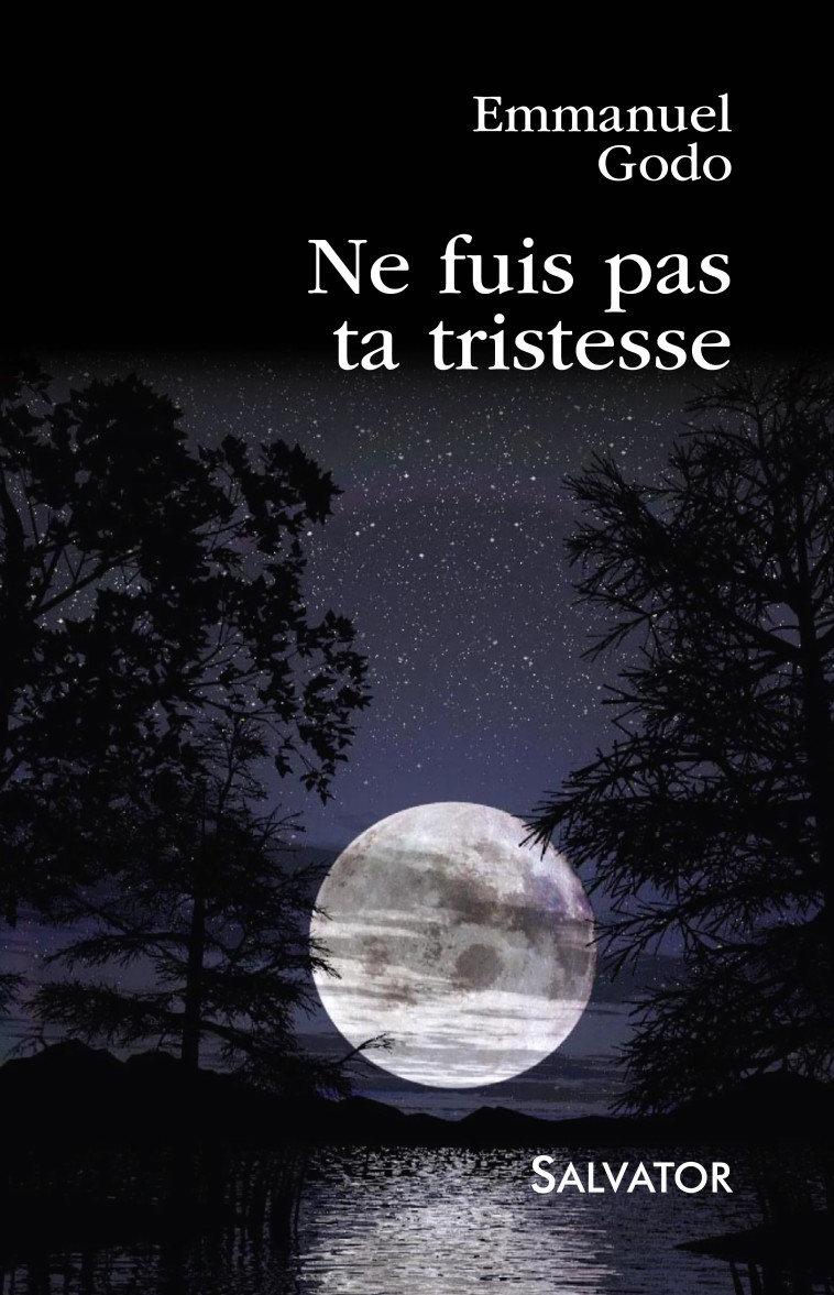 Ne fuis pas ta tristesse - Emmanuel Godo - SALVATOR