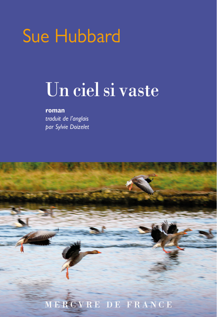 Un ciel si vaste - Sue Hubbard - MERCURE DE FRAN