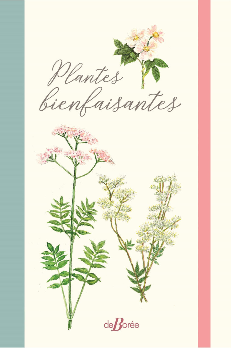 Plantes bienfaisantes - Daniel BRUGES - DE BOREE