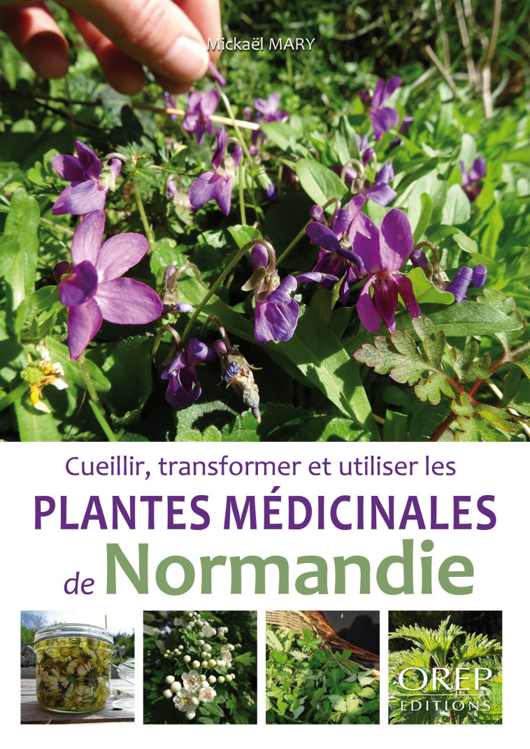 Plantes médicinales de Normandie - Mickaël MARY - OREP