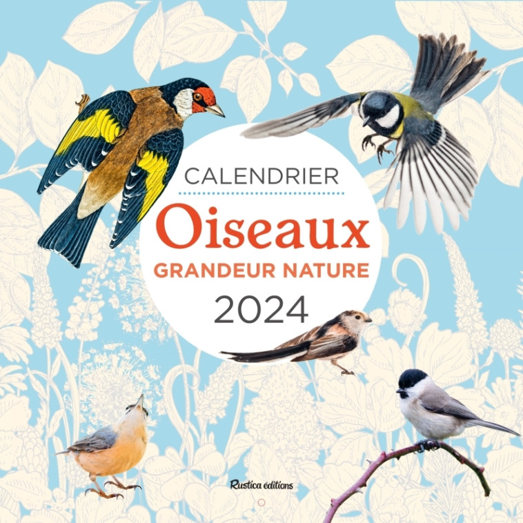 Calendrier mural Oiseaux grandeur nature 2024 - Guilhem Lesaffre - RUSTICA