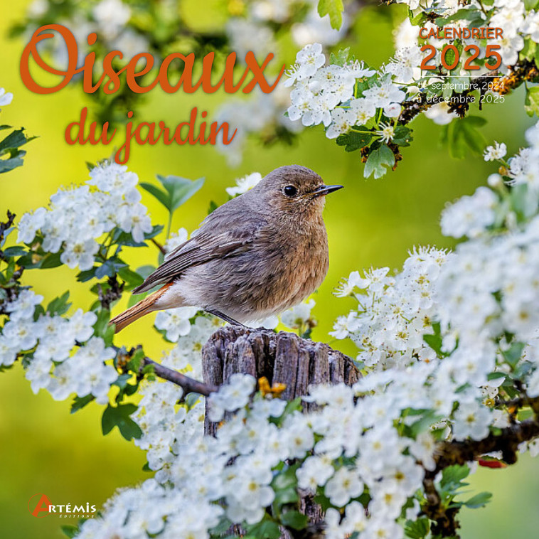 CALENDRIER OISEAUX DU JARDIN 2025 -  Collectif - ARTEMIS